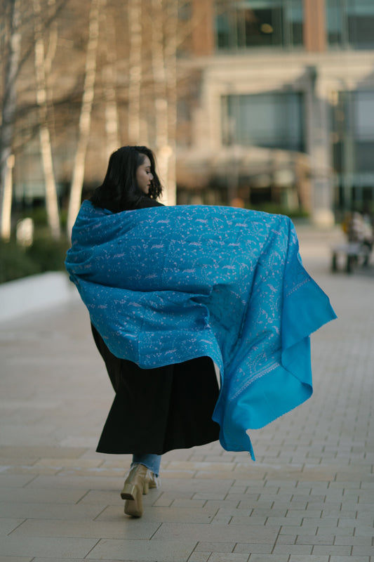 Hand Embroidered Pashmina
